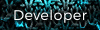 Developer
